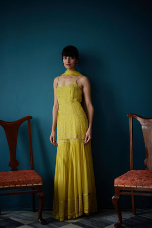 Sharara Dress for Wedding Functions Online 2021 #PN70 | Sharara designs,  Bridal sharara, Sharara